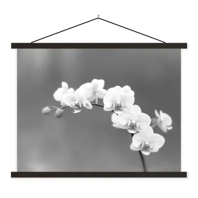 Produktbild von MuchoWow® Textilposter Orchidee - Blumen - Pflanze - Weiß - Lila 150x113 cm mit schwarzem Rahmen
