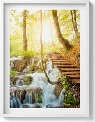 Produktbild von Bach und Treppe im Wald– Wandbild mit Rahmen – Gerahmtes Bild  – Wanddekoration – 60x80 cm –  Weiß Rahmen
