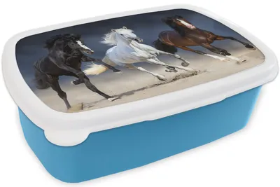 Produktbild von KitchenYeah® Lunchbox Brotzeit Brotdose 17x11 cm Pferde - Tiere - Sand Kinder Brotzeitdose - Lunch - Kunststoff  - Brotbüchse - Sandwichbox - Lunchbox für Kinder