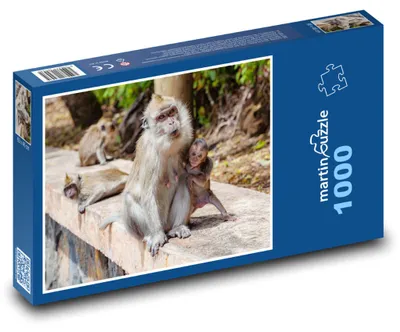 Zdjęcie produktu dla Puzzle 1000 Rodzina makaków w naturze - martinpuzzle