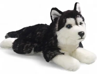 Immagine prodotto di Carl Dick Husky, nero, sdraiato circa 32cm totale 2783 Peluche, peluche, peluche