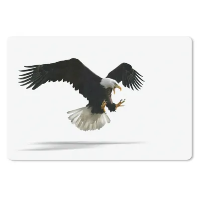 Produktbild von MuchoWow® Schreibtischunterlage Adler - Vogel - Weiß 60x40 cm - XXL Mauspad - Großes Mauspad