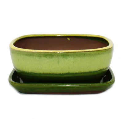 Produktbild von Bonsai-Schale mit Unterteller Gr. 3 Gelb-Grün rechteckig Modell GB5 L 21,5cm B 17cm H 8 cm