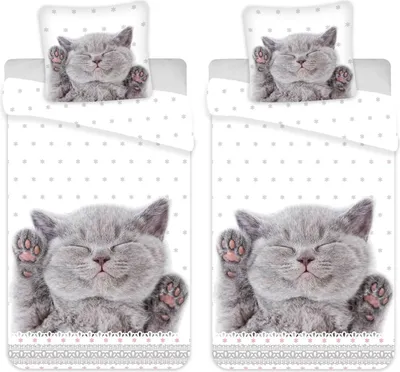 Produktbild von Kätzchen Katze Welpe - Partner-Bettwäsche Doppelbett, 135x200 & 80x80