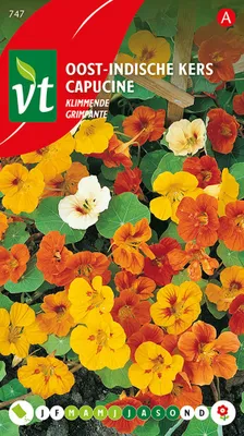 Obrázok produktu pre Semienka kapucínskej krevety - cca 3,5 gr | VT_747