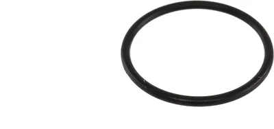 Produktbild von Dichtring, 0-Ring 20x 1,5 für BING Flanschstutzen