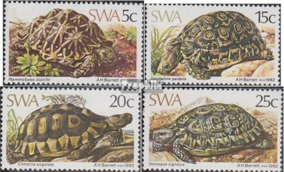 Produktbild von Briefmarken Namibia - Südwestafrika 1982 Mi 516-519 (kompl.Ausg.) postfrisch Schildkröten