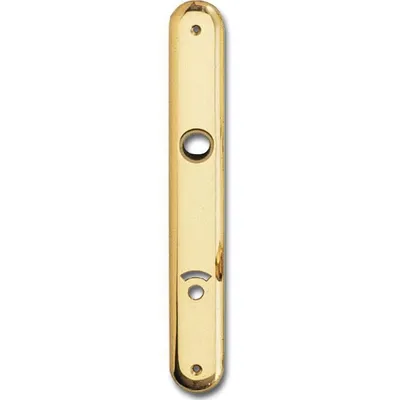 Produktbild von Langschild ELEGANT, WC 90, für Notöffner, Messing poliert ÖNORM
