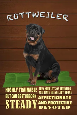Produktbild von vianmo Holzschild 18x12 cm Rottweiler Hund highly trainable Tier Haustier
