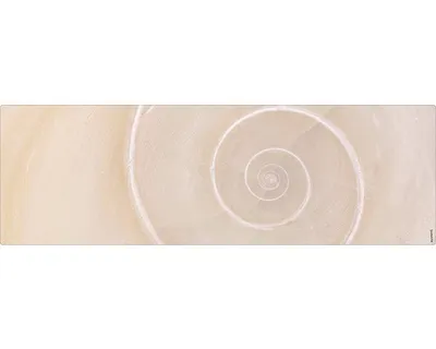 Produktbild von Badrückwand mySPOTTI aqua Schnecke 140x45 cm