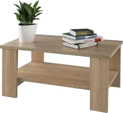 A coffee table with a plant and books on it, set against a white background.