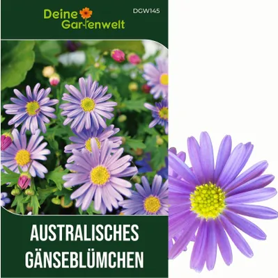 Produktbild von Australisches Gänseblümchen Blausternchen Samen - Brachyscome iberidifolia - Gänseblümchensamen - Blumensamen - Saatgut für 200 Pflanzen