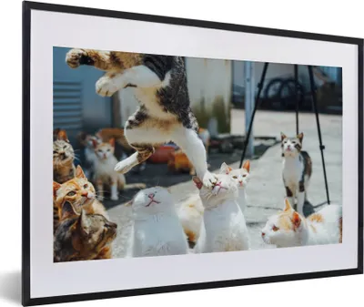 Produktbild von MuchoWow® MuchoWow® Gerahmtes Poster Komische Katze, die über andere Katzen springt 60x40 cm - Poster mit zchwarzem Bilderrahmen - Schlafzimmer - Plakat in Rahmen - Drucken