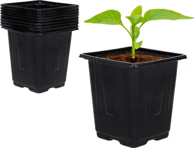 Obrázek produktu pro Sada 9 plastových květináčů 9x9x10cm - 9 kusů