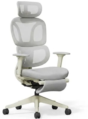 Obrázek produktu pro Ergonomická kancelářská židle BS5WG-M2, s opěrkou nohou, šedá