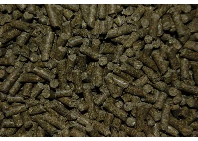 Produktbild von Wielink Meerschweinchen Supervit Pellets mit Vitamin C – 20 kg