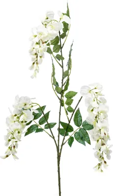 Produktbild von artplants.de Kunst Blauregenzweig ONORATO mit Blüten, Creme, 70cm - Künstlicher Blauregen Zweig/Dekozweig Wisterie