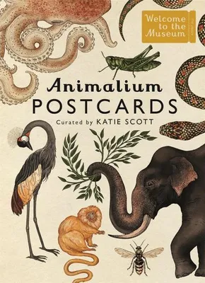 Obrázek produktu pro Animalium Postcards