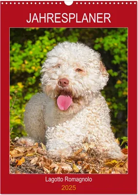 Produktbild von Jahresplaner Lagotto Romagnolo (Wandkalender 2025 DIN A3 hoch), CALVENDO Monatskalender