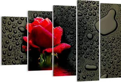 Produktbild von Bild auf Leinwand - Leinwandbild - Blume rote rose wasser tau - 150x100cm - Wand Bild - Wanddeko - Leinwanddruck - Bilder - Kunstdruck - Wanddekoration - Leinwand bilder - Wandkunst - EG150x100-2367