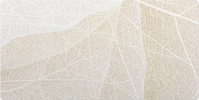 Produktbild von Blatt Mit Zartem Muster– Schreibtischunterlage – Schreibtisch Tischunterlage – 100x50 cm – Unterlage Groß Schreibtischmatte