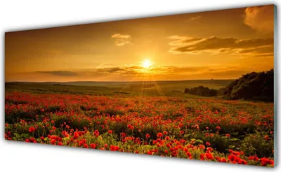 Produktbild von Acrylglasbilder 125x50 Wandbild Druck See Wiese Blumen Natur