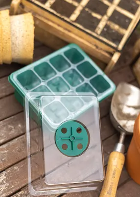Produktbild von 5er Anzuchtschalen Gewächshaus Set mit Deckel - je 12 Pflanzplätze mit