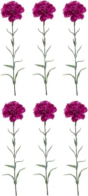 Produktbild von 6er Set künstliche Nelken Dianthus spray H 67cm violett lila Emerald Kunstblumen
