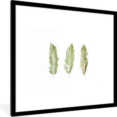 Produktbild von MuchoWow® Gerahmtes Poster Tropisch - Blätter - Weiß 40x40 cm - Poster mit Schwarzem Bilderrahmen Wandposter Rahmen Foto Bilder - Poster - Plakat im Rahmen