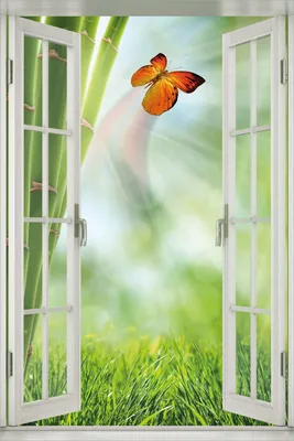 Produktbild von Wallario Poster mit Fenster-Illusion: Schmetterling im Grünen mit Bambus, Größe: 61 x 91,5 cm (Maxiposter)