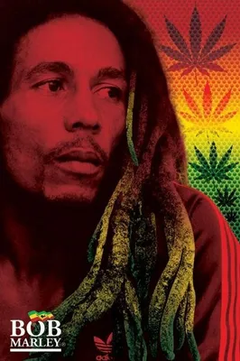 Image de Bob Marley - Dreads - 61x91,5cm - Affiche Poster