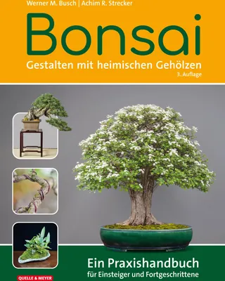 Produktbild von Bonsai - Gestalten mit heimischen Gehölzen
