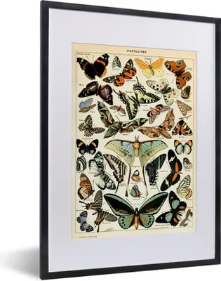 Produktbild von MuchoWow® Gerahmtes Poster Adolphe Millot - Schmetterling - Tiere - Insekten - Vintage 30x40 cm - Poster mit Schwarzem Bilderrahmen Wandposter Rahmen Foto Bilder - Wandposter Schlafzimmer
