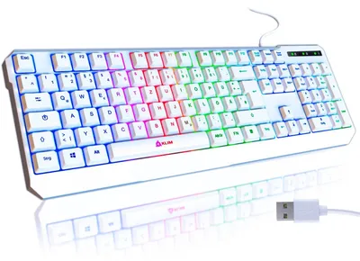 Immagine prodotto di Tastiera Chroma Gaming QWERTZ, versione tedesca, con illuminazione RGB e cavo USB, ergonomica, colore bianco