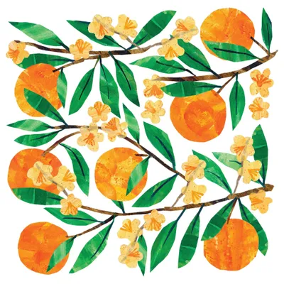 Produktbild von 20 Servietten Tracey´s Orangina - Welt voller Orangen 33x33cm