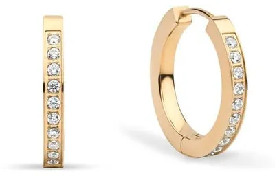 Immagine prodotto di Orecchini in Acciaio Inossidabile - Bering Jewelry Model: 726-27-05