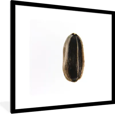 Produktbild von MuchoWow® Gerahmtes Poster Studioaufnahme von Sonnenblumenkernen auf weißem Hintergrund 40x40 cm - Poster mit Schwarzem Bilderrahmen Wandposter Rahmen Foto Bilder - Poster - Plakat im Rahmen