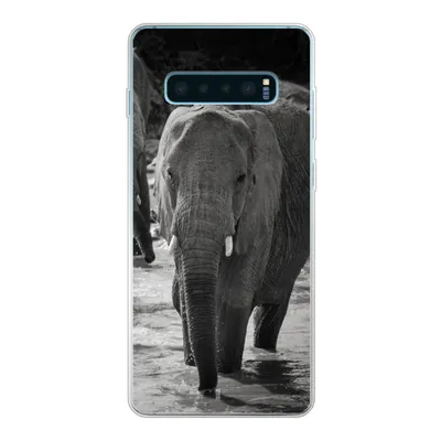 Produktbild von MuchoWow® Handyhülle Schutzhülle Hülle für Samsung Galaxy S10 Plus Elefant - Tiere - Wasser - Schwarz und weiß Silikon Softcase Handy Hülle - Schutzhülle