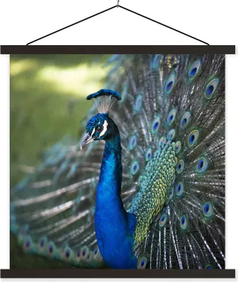 Produktbild von MuchoWow® Textilposter Pfau - Vögel - Blau 90x90 cm mit schwarzem Rahmen - Magnetisches
