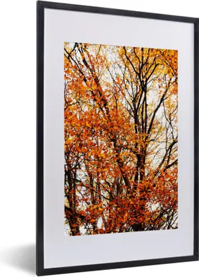 Produktbild von MuchoWow® Gerahmtes Poster Wald - Herbst - Jahreszeiten 40x60 cm - Poster mit Schwarzem Bilderrahmen Wandposter Rahmen Foto Bilder - Poster in Rahmen