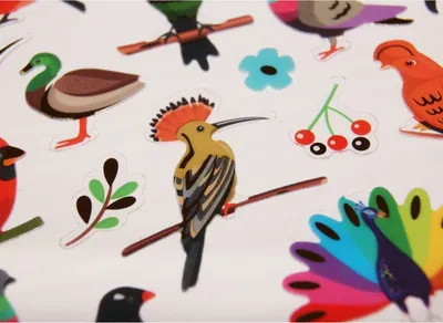 Image de Autocollants - Oiseaux - Paillettes