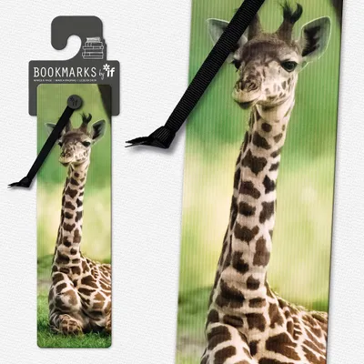 Obrázok produktu pre Záložka 3D 15406 – Žirafa – IF