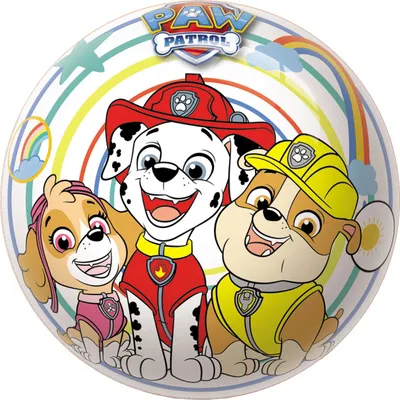 Image de Inf. Ballon Paw Patrol 22 Cm Ballon