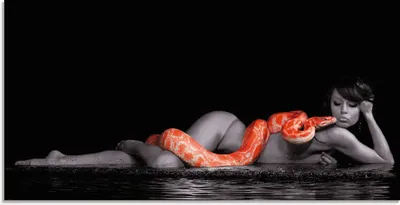 Produktbild von ARTland Glasbild Frau in Wasser liegend mit roter Python Größe: 60x30 cm