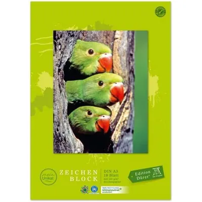 Immagine prodotto di Edition 055432000 Dürer Zeichenblock green DIN A3