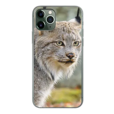 Produktbild von MuchoWow® Handyhülle Schutzhülle Hülle für iPhone 11 Pro Luchs - Wald - Grau Silikon Softcase Handy Hülle - Handy