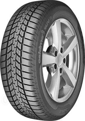 Immagine prodotto di Sava Eskimo Suv 2 255/55R18 109H Xl