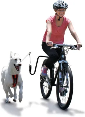 Produktbild von SPRINGER Fahrradhalter für Hunde