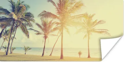 Produktbild von MuchoWow® Poster Meer - Palme - Sommer - Sonne - Strand 40x20 cm - Poster für die Wand - Poster Schlafzimmer