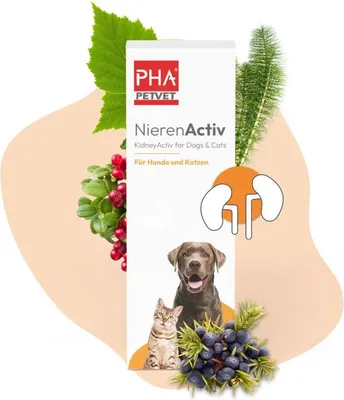 Produktbild von PHA NierenActiv für Hunde und Katzen 30 ml